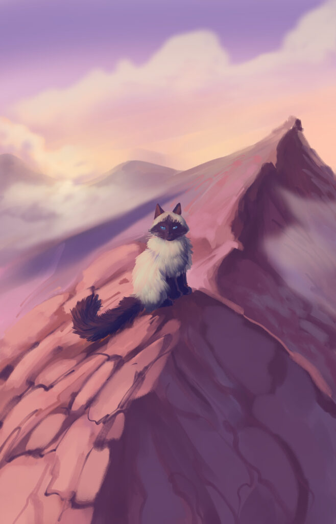 cat-on-mountain-sm
