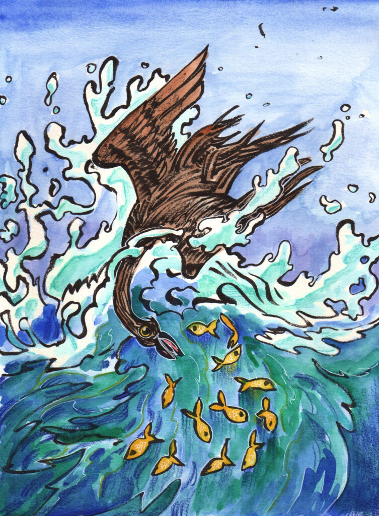 cormorant-sm